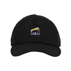 Topi
